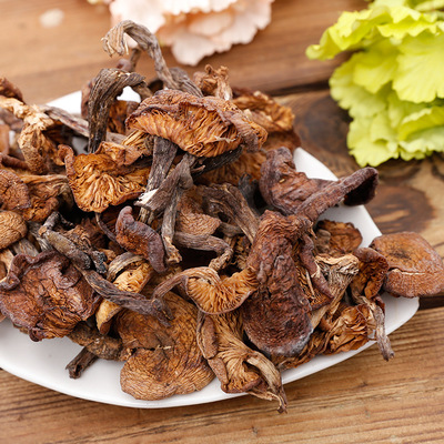 探訪東北深山珍品 農家散裝榛蘑的肉厚味鮮傳奇